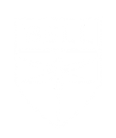 Bell Flight