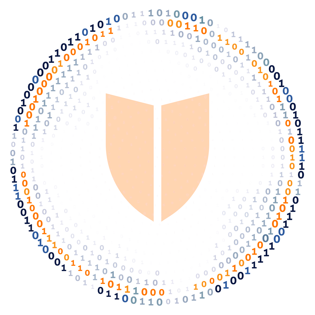 RunSafe Defends Against Cyber Exploits